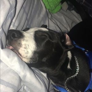 Meet your Posher, Jay